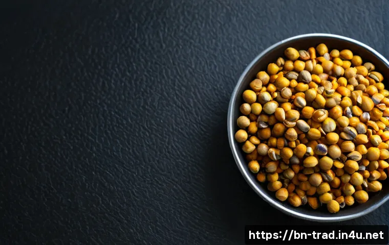 ঘরে বানাবেন নাকি কিনবেন: ঐতিহ্যবাহী কিমচি বাছাই, স্বাদ ও খরচের ব্যবহারিক গাইড 4 전통 김치 관련 이미지 2